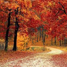 No matter how simple the math problem is, just seeing numbers and equations could send many people running for the hills. Autumn Quiz Trivia Questions And Answers Free Online Printable Quiz Without Registration Download Pdf Multiple Choice Questions Mcq