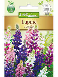 Lupine plants bloom from june to august. Lupine Mischung Samen Fur Blumenmischungen Gartenversandhaus De