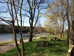 We invite you next year. Jezioro W Rakowcu Miasto I Gmina Gniew