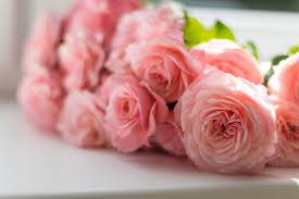Here are some handy tricks for you to keep cut flowers lasting longer than ever: 7 Amazing Long Lasting Cut Flowers Best For Sending Internationa Wrcbtv Com Chattanooga News Weather Amp Sports