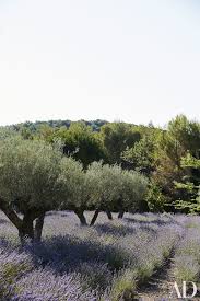 Frederic Fekkai S Gorgeous Vacation Home In The South Of France Architectural Digest Mediterranean Garden South Of France Provence