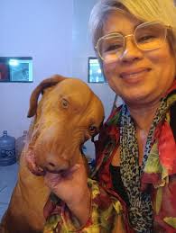 Foto, foto! Mi hermoso y cariñoso braco.