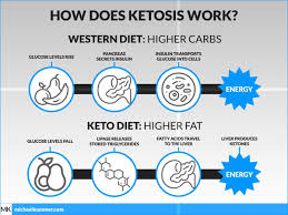 The keto diet is also a fatty liver diet. Best 15 Low Carb Keto Meal Replacement Shakes In 2021