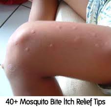 Pin On Helpful Hints