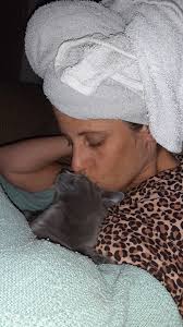 Kittens for adoption in Alleghany, NC