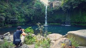 We did not find results for: Curug Tempuran