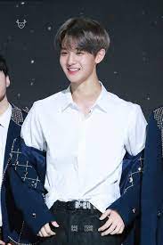 part.2 sing my song : 53 Wanna One Ideas Bae Jin Young Jinyoung Bae