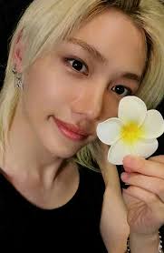 STRAY KIDS FLOWER PHOTOCARDS 🏵🤍🏵🤍🏵🤍🏵🤍🏵🤍🏵🤍🏵🤍🏵 From KARMA  Everline POB