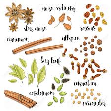 El mejor lugar para guardar las especias es un lugar que sea seco y oscuro. Conjunto De Especias En El Boceto Anis Y Cardamomo Canela Y Pimienta Clavo De Olor Y Las Pasas El Cilantro Y La Hoja De Laurel El Aderezo Para Platos Especias Para Cocinar