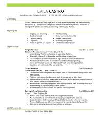 11 Amazing Sales Resume Examples | LiveCareer