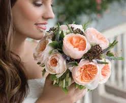 DaviD austin ® ColleCtion 2015