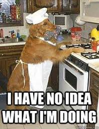 Let us know your ideal burger in the. 71 Cooking Humor Ideas In 2021 Humor Bones Funny Cooking Humor