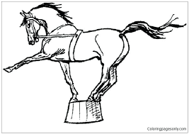 Transparent horse coloring page adult. Circus Horses Image 2 Coloring Pages Horse Coloring Pages Free Printable Coloring Pages Online