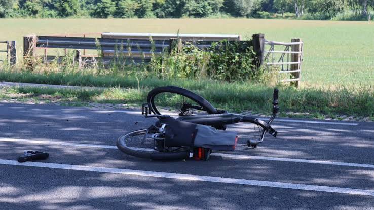 Fietser overleden na ongeluk met bestelbus op N224 | Regio | De  Gelderlander.nl