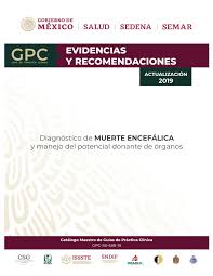 La lesión cerebral traumática más grave puede provocar hematomas, tejidos desgarrados, sangrado y otras. Pdf Diagnostico De Muerte Encefalica Y Manejo Del Potencial Donante De Organos Guia De Practica Clinica Evidencias Y Recomendaciones