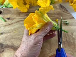 We did not find results for: Zucchini Flowers Squash Flowers Pumpkin Flowers