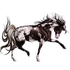 Image result for howrse rare apple coats