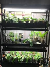 We did not find results for: 3 Tier Sunlite Garden Shelves Fluorescent T 5 Bulbs Free Shipping
