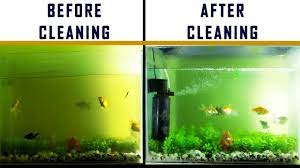 Fish tank wizard goes through great lengths to provide you the best research and advice we can offer. How To Diy Easy Fish Tank Filter Cleaning Youtube