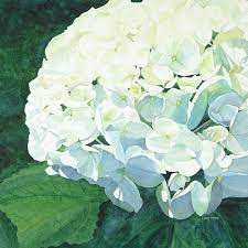Pin On Nancykoss55 Gmail Com