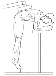 Donkey Calf Raises | gymJP.com