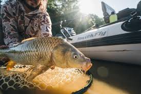 Carp Fishing: Insights from Around the World (Updated Jul 2024) - AnyCreek