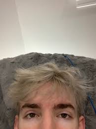 Sock On Twitter Flamingo Photo Flamingo Pictures Albert