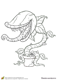 Page 5 Sur 12 Sur Hugolescargot Com Fleur Carnivore Dessin Plante Coloriage