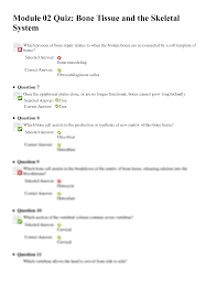 Once the game head has asked a trivia question, each player should write their answers on their sheet of paper. Solution Himg150 Pha1 Rasmussen Module 2 Bone Tissue And The Skeletal System Quiz Studypool