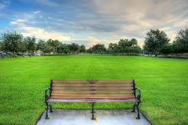 If you need anything, don't hesitate to call or email us at any of our three locations: Bench At Park In Port St Lucie Tradition Photo Courtesy Of Kim Seng Captainkimo Com Florida Photography Park Port St Lucie