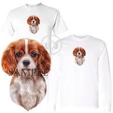 Cogent Cavalier King Charles Spaniel Size Chart