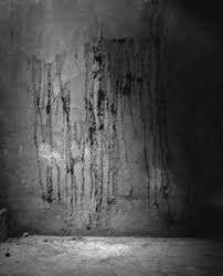 Image result for hiroshima human shadow