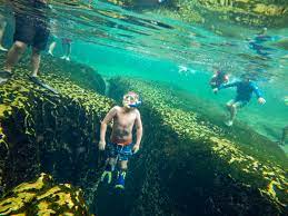 One in the picnic area, one behind the concession area, and one near the swimming area. Wekiwa Springs State Park Has Refreshing Water Lots To Do Orlando Sentinel