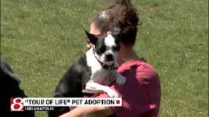He will be a great addition to a loving home. Nationwide Pet Adoption Tour Stops In Indy Wish Tv Indianapolis News Indiana Weather Indiana Traffic