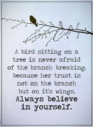 Bird Sitting On Branch Quotes A Bird Sitting On A Tree Is Never Afraid Of The Branch Breaking Because Her Trust Is Not Me Quotes Inspirational Quotes Motivation Motivational Quotes