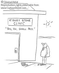 Kidney Stone Cartoons And Comics Kidney Stones Funny Kidney Stones Kidney