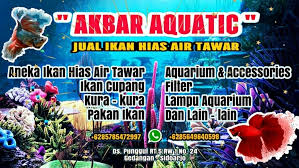 We did not find results for: Pusat Penjualan Ikan Hias Di Sidoarjo