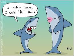 How to add a video Sharks Vs Bulls Funny Pics Funny Quotes About Bull Quotesgram About 7 005 Results 0 52 Seconds Julianpij Images