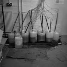 Hangzhou sunbeam sanitary ware co.,ltd. Pdf Occupational Asthma And Rhinitis Due To Detergent Enzymes In Healthcare