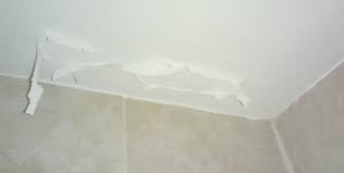 Maybe you would like to learn more about one of these? Bathroom Ceiling Paint Suddenly Peeling Diynot Forums