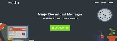 This software helps you download streaming videos (from various video streaming websites), images, documents, etc. 10 Best Free Download Manager For Windows Pc In 2021