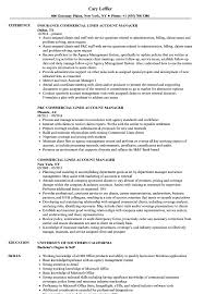 Commercial Lines Account Manager Resume Samples Velvet Jobs