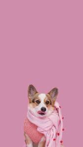 Pin By Lili Syperreck On Frases