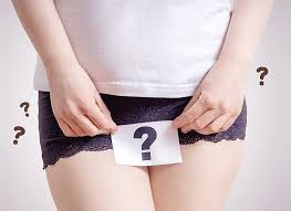 Pengertian, fungsi, struktur, bagian, penyebab, sumbatan, pengobatan dan cara. Kenali Tanda Keputihan Menstruasi Atau Hamil Faktualnews Co
