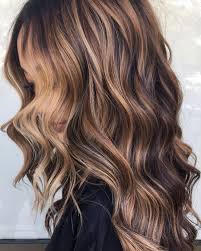 I Love It When You Call Me Seniorita Not Really Sure If That Song Goes With This Hair But I L Pretty Hair Color Hair Color Streaks Brown Hair Balayage