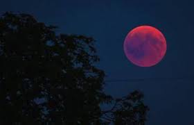 शुरू हो गया lunar eclipse, इन बातों का रखें ध्यान | aajtak live aaj tak aaj tak live aaj tak live news #6july_2020 #modi #video #watch #मौसम #विभाग #weather weather in today and. Lunar Eclipse 2021 Chandra Grahan Super Blood Moon
