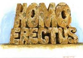 Homo Erectus - Ian Hanks • BookLikes