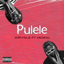 They make you feel full of energy, desire to move, love and feel the spirit of life in its full. Kofi Mole Pulele Ft Medikal In 2021 New Hit Songs Rap Songs Dj Mixtape