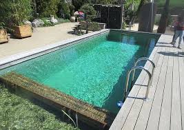 Naturpool Mit Niroleiter Naturschwimmbecken Gartenpools Schwimmteich