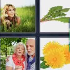 4 Pics 1 Word 9 Letters Answers Easy Search Updated 2021 See also answers to questions:shoe brand, food brand, ball brand, jeans for a new search:
